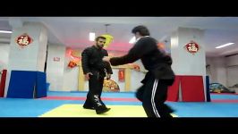 دفاع شخصی هاپکیدو توسط استاد محمد ضیایی پور hapkido