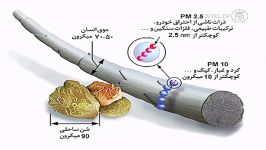 چین واژه ای جدید برای ذرات خطرناک پی اِم 2.5 در هوا