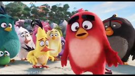 تریلر انیمیشن جدید THE ANGRY BIRDS MOVIE