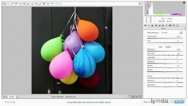 دانلود آموزش کاربردی Camera RAW  ویدئو سوم