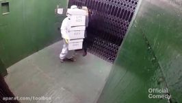 حمله زنبورها در آسانسور
