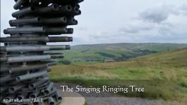 Singing Ringing Tree