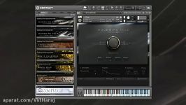 Native Instruments SYMPHONY SERIES WOODWIND SOLO KONTAK