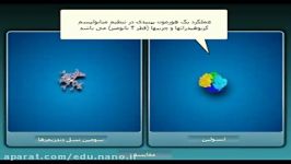 ابعاد دندریمرها