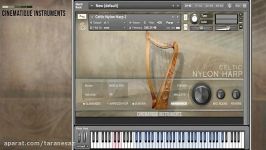 Cinematique Instruments Celtic Nylon Harp