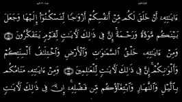 القرآن الکریم  30  سورة الروم  سعد الغامدی