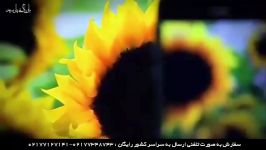 مزایای استفاده محافظ صفحه نانو