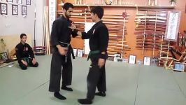 Kukishin Ryū Dakentaijutsu 九鬼神流打拳体術