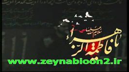 کلیپ نوحه حضرت زهراسشماره2فاطمیه ازصفحه ما هم حتماسری بزنید92 شوردل دردراشنایم ازامیربیدختی