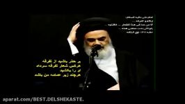 حکم تفرقه افکن زبان امام علی ع