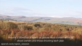 Grouse Shooting  The Real Story