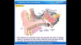 EAR ANATOMY