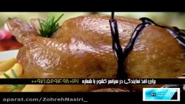 زهره نصیری zohreh nasiri ROBIN1 Media Production Group