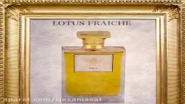 عطر لوتوس  lotus perfume