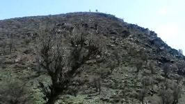 شاخی شاوری  روستای باریكا  سردشت