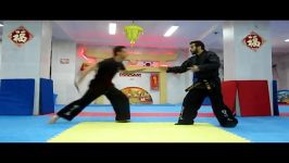 دفاع شخصی هاپکیدو توسط استاد محمد ضیایی پور  ziaeepour hapkido