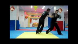 دفاع شخصی هاپکیدو توسط استاد محمد ضیایی پور  ziaeepour hapkido