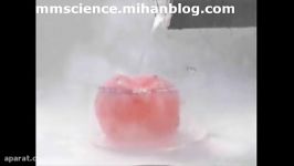 منجمد کردن بادکنک نیتروژن مایع