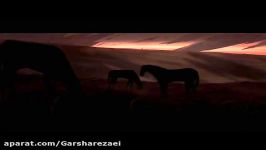 انیمیشن سوار اسب بارون  گرشا رضایی
