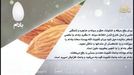 خواص غذایی درمانی بادام دانش تغذیه