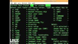 آشنایی نحوه استفاده دستور top در خط فرمان یا Command Line