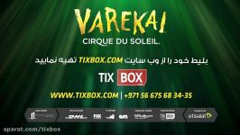 Cirque Du Soleil  Varekai