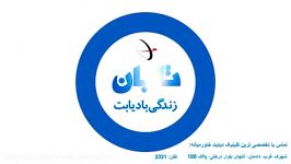 کوبیدن مواضع داعش توسط روس ها+فیلم