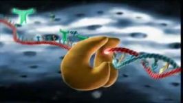 Reverse Transcriptase Inhibitors HIV