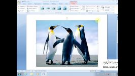آموزش ورد 14 انتخاب تصویر Picture Adjust word