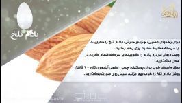 خواص غذایی درمانی بادام تلخ دانش تغذیه