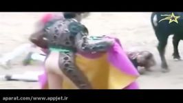 از خودگذشتگی دوستان گاو باز ،هنگام حمله گاو وحشی به یکی دوستانشان