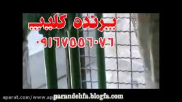 ܓ✎شکنجه کودک 10 ساله فلسطینی توسط یک صهیونست وحشی