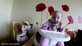 Cute dog never had to be taught how to love baby