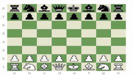Dzindzichashvili  Greatest Chess Minds Leonid Stein Part 1