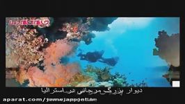 مقصد گردشگری محبوب جهان در سال 2016