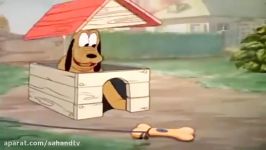 انیمیشن اردک سنجابها Donald Duck  Chip Dale Cartoon