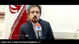 سخنگوی وزارت خارجه به ایرانی بودن عامل حادثه مونیخ