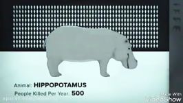 تعداد انسان هایی سالانه به دست حیوانات میمیرند