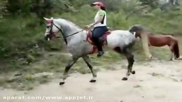 اسب سواری دختر اسب عرب سیلمی