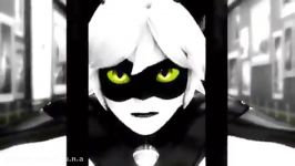 Chat noir