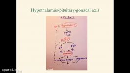 Endocrine Physiology Review  CRASH Medical Review p.1