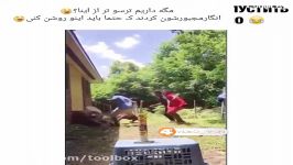 خب میترسی انجام نده مگه مجبوری؟