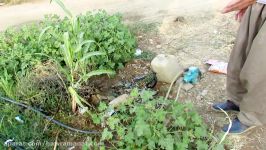 وضعیت نامناسب آب لوله کشی روستایی در سروآباد