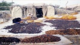 تصاویری دیدنی قدیم دشتی استان بوشهر آژانس خبری کاکی