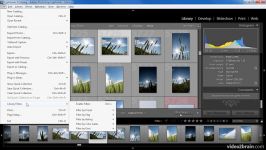 کار کتابخانه فیلترهای موجود در Lightroom