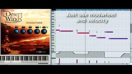 Best Service Desert Winds Virtual Instrument