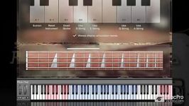 Native Instruments Scarbee Rickenbacker Bass KONTAKT