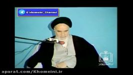 خرابکاران کنار نشسته منتظر میوه چینی هستند