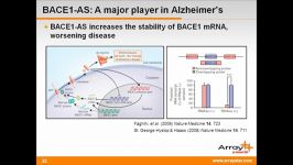 Long non coding RNAs in Development  Disease Progression  YouTube