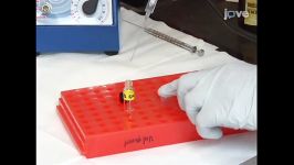 5Biosensor for Detection of Antibiotic Resistant Staphylococcus Bacteria
